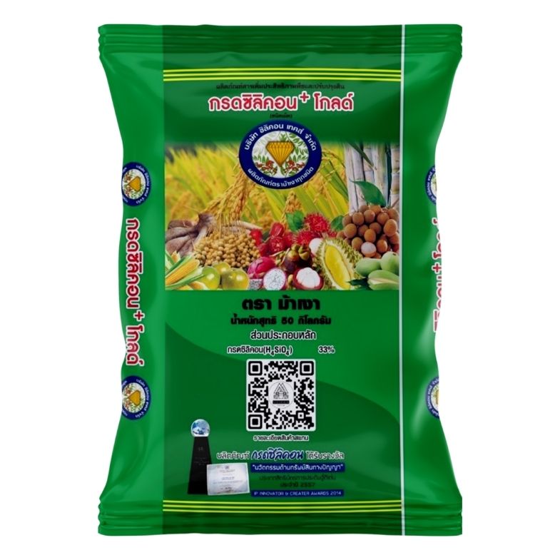 Front of men's Basic Tee in black.